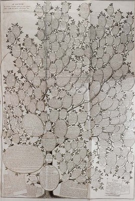 1355
<br/>
Encyclopédie, ou Dictionnaire raisonné des sciences, des arts et des métiers
<br/>
<em></em>