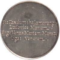 TMNK 00677
          <br/>
          Huwelijk van Lodewijk XIV met Maria Theresia in 1660 in Saint-Jean-de-Luz
          <br/>
          <em>Republiek der Zeven Verenigde Nederlanden, republiek (1588-1795)</em>