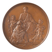 TMNK 03419
          <br/>
          Aannemen van de wet op het verleggen van de monding van de Maas
          <br/>
          <em>België, Koninkrijk (1830-heden)</em>