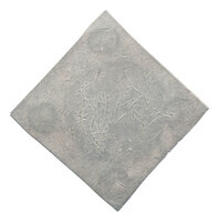 TMNK 05194
<br/>
Veertig stuiver (noodmunt) uit Breda, tijdens de belegering door Spinola
<br/>
<em>Breda, Staats-Brabant</em>