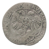 TMNK 05828
          <br/>
          Snaphaanschelling uit Zwolle
          <br/>
          <em>Zwolle</em>