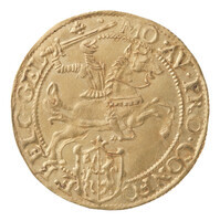 TMNK 06911
          <br/>
          Gouden rijder uit Gelderland
          <br/>
          <em>Republiek der Zeven Verenigde Nederlanden, Gelderland, provincie</em>