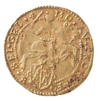 TMNK 06924
          <br/>
          Halve gouden rijder uit Gelderland
          <br/>
          <em>Republiek der Zeven Verenigde Nederlanden, Gelderland, provincie</em>