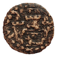 TMNK 08189
<br/>
Halve duit uit Elburg
<br/>
<em>Elburg, stad</em>