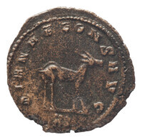 TMNK 09562
<br/>
Antoninianus uit het Romeinse Keizerrijk op naam van Gallienus (253-168)
<br/>
<em>Romeins Keizerrijk</em>