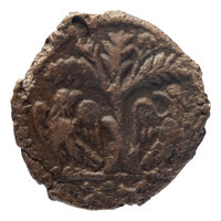 TMNK 09779
<br/>
(Munt, determineren) van de Ostrogothen
<br/>
<em>Ostrogothen, koninkrijk</em>