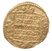 TMNK 10060
          <br/>
          Gouden dukaat uit West-Friesland
          <br/>
          <em>Republiek der Zeven Verenigde Nederlanden, Holland (West-Friesland), landschap (1573-1795)</em>