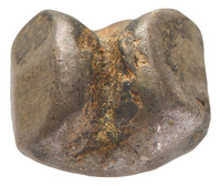 TMNK 15966
<br/>
Achtste baht (fuang, ‘kogelmunt’) uit Thailand op naam van Rama IV (1851-1861)
<br/>
<em>Thailand, koninkrijk</em>